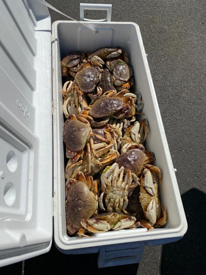 Winchester Bay Inn リーズポート エクステリア 写真