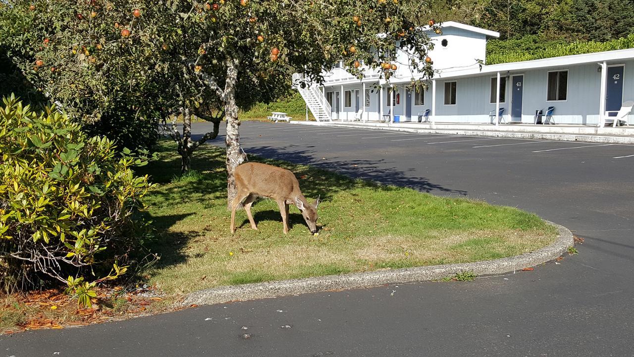 Winchester Bay Inn リーズポート 部屋 写真